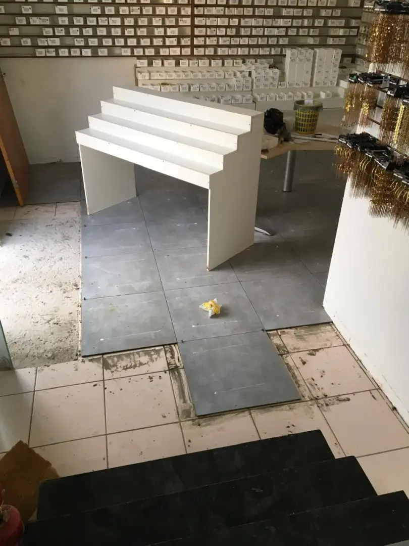 Santana Brutos — Crescimento e Estrutura (2022), foto 2 de 4