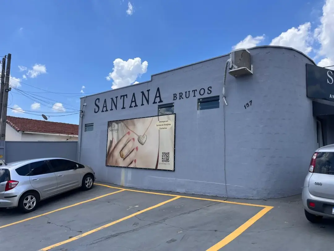 Santana Brutos — Expansão de Ideias (2024), foto 5 de 5